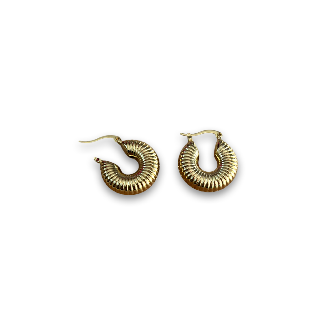 Carina Hoop Earrings