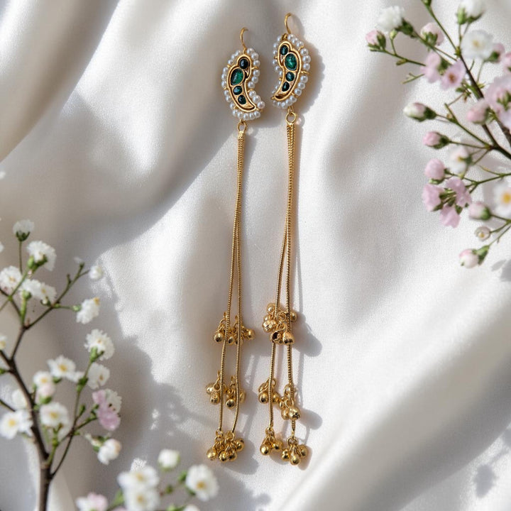 Ear shape Kashmiri Earrings